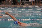 Swim vs Bentley  Wheaton College Swimming & Diving vs Bentley University. - Photo by Keith Nordstrom : Wheaton, Swimming & Diving